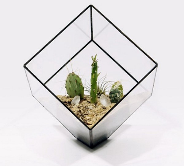  Sculptural Planters  