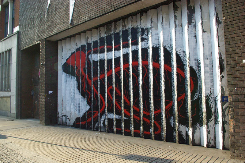      Roa