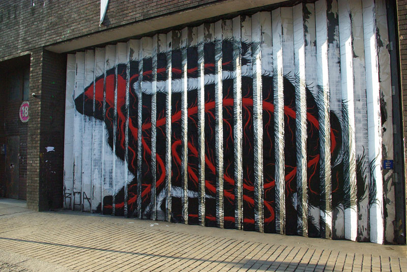      Roa