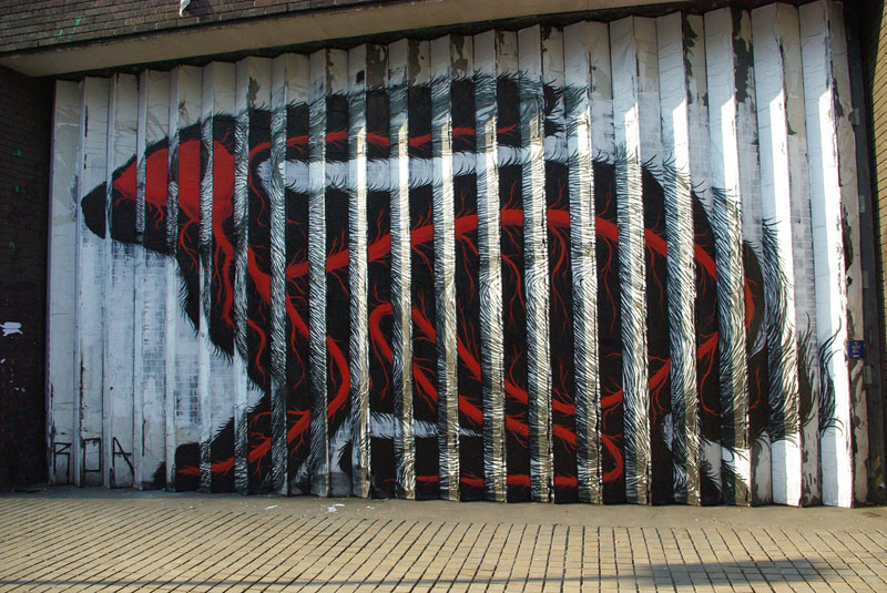      Roa