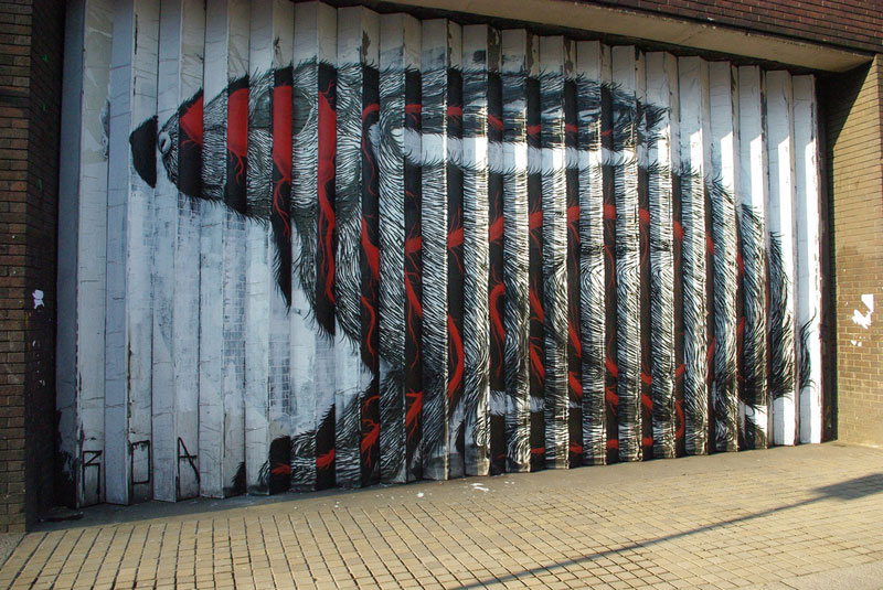      Roa