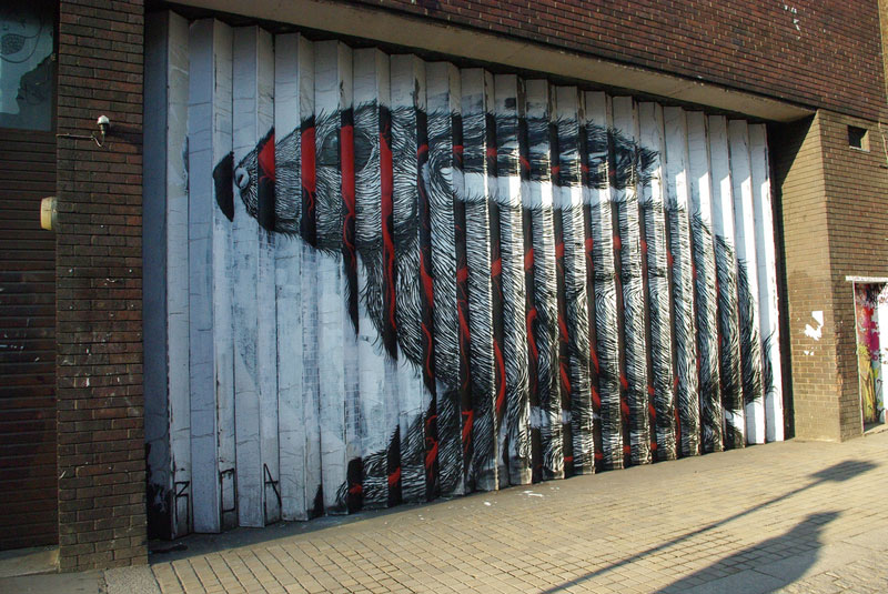      Roa