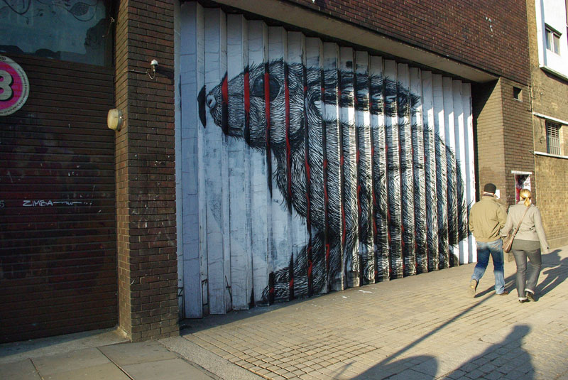      Roa