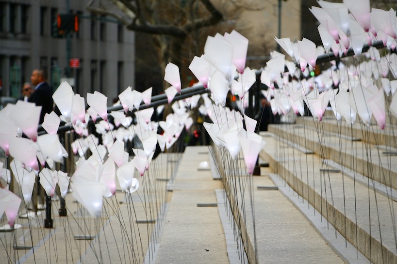          Tribeca Film Festival   BWArchitects 