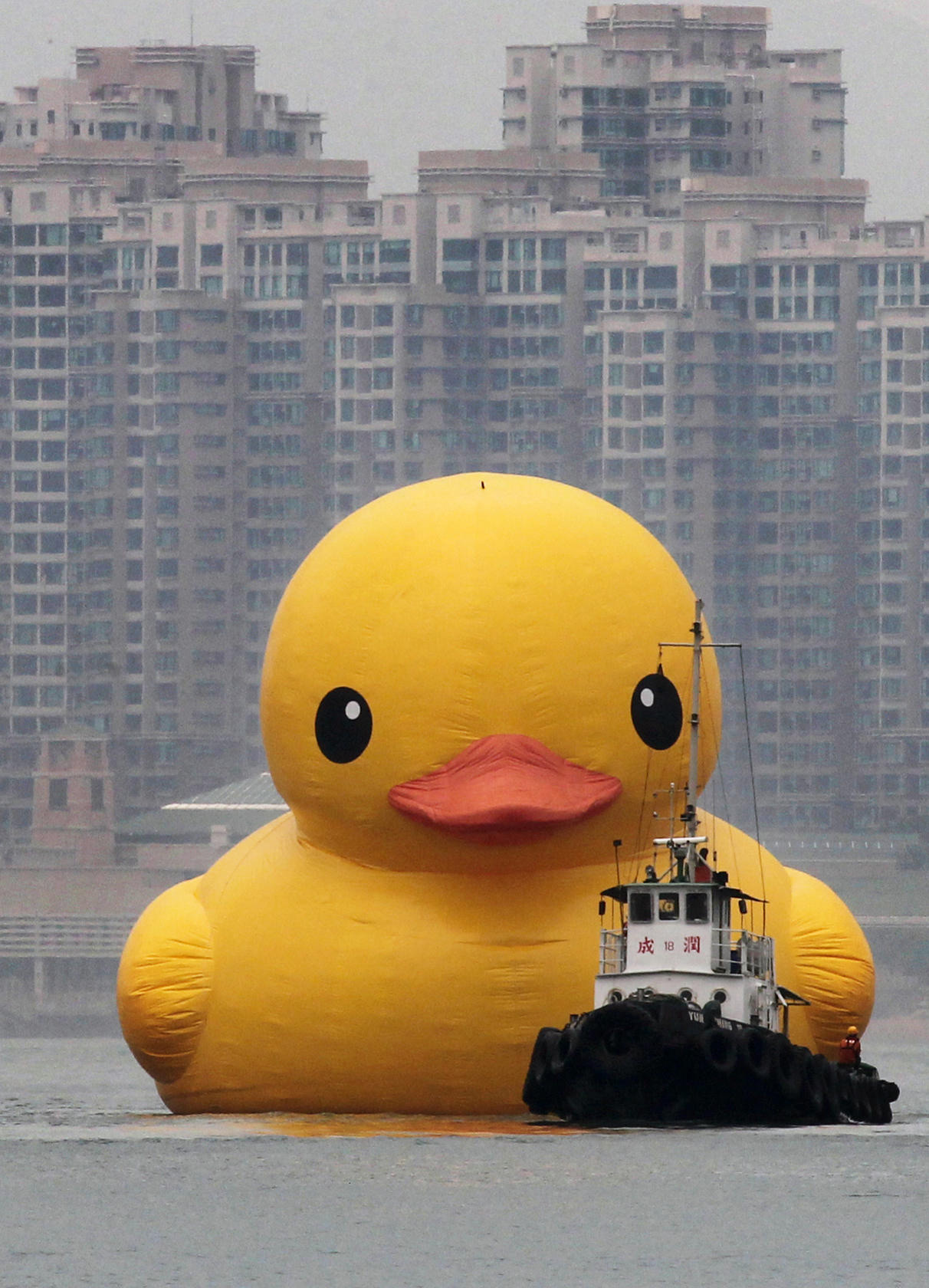    :    (Rubber Duck)     