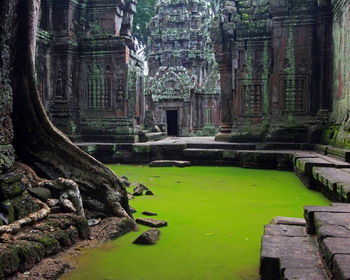 Храм Та Прум, Ангкор, Камбоджа