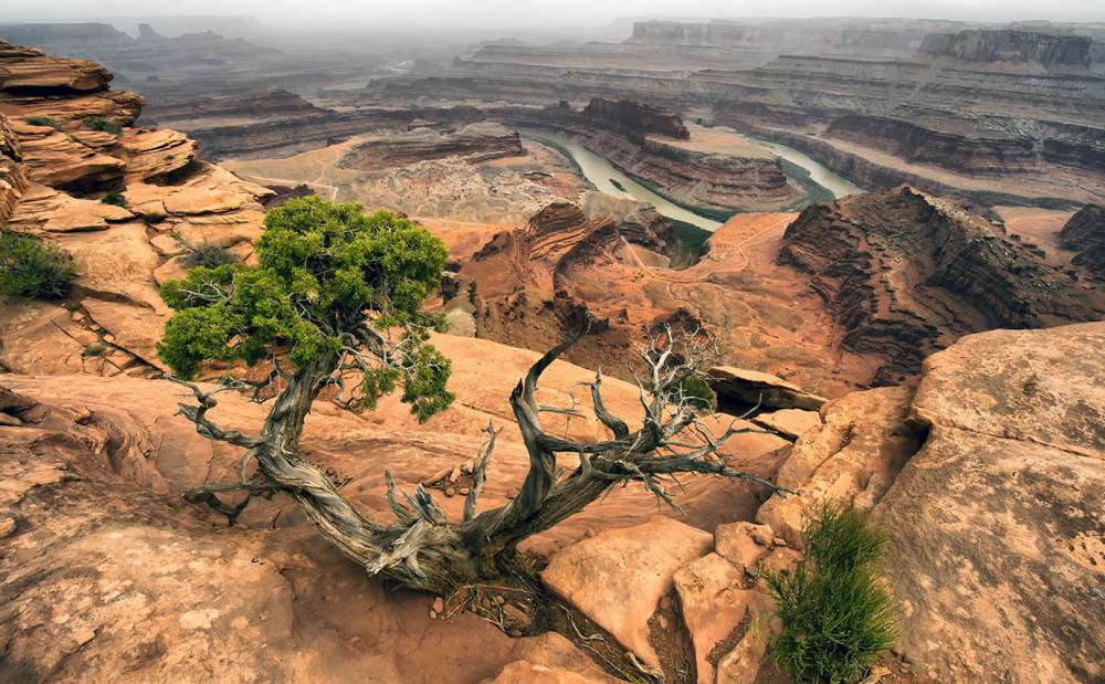      (. Canyonlands National Park)