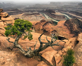      (. Canyonlands National Park)