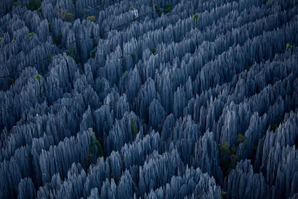 Удивительный Каменный Лес, Цинжи-дю-Бемараха, Мадагаскар