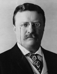    (. Theodore Roosevelt)