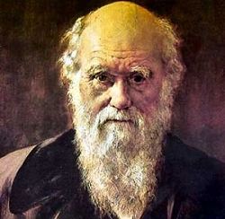 Чарльз Роберт Дарвин (англ. Charles Robert Darwin)