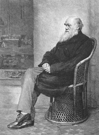 Реферат: Charles Robert Darwin