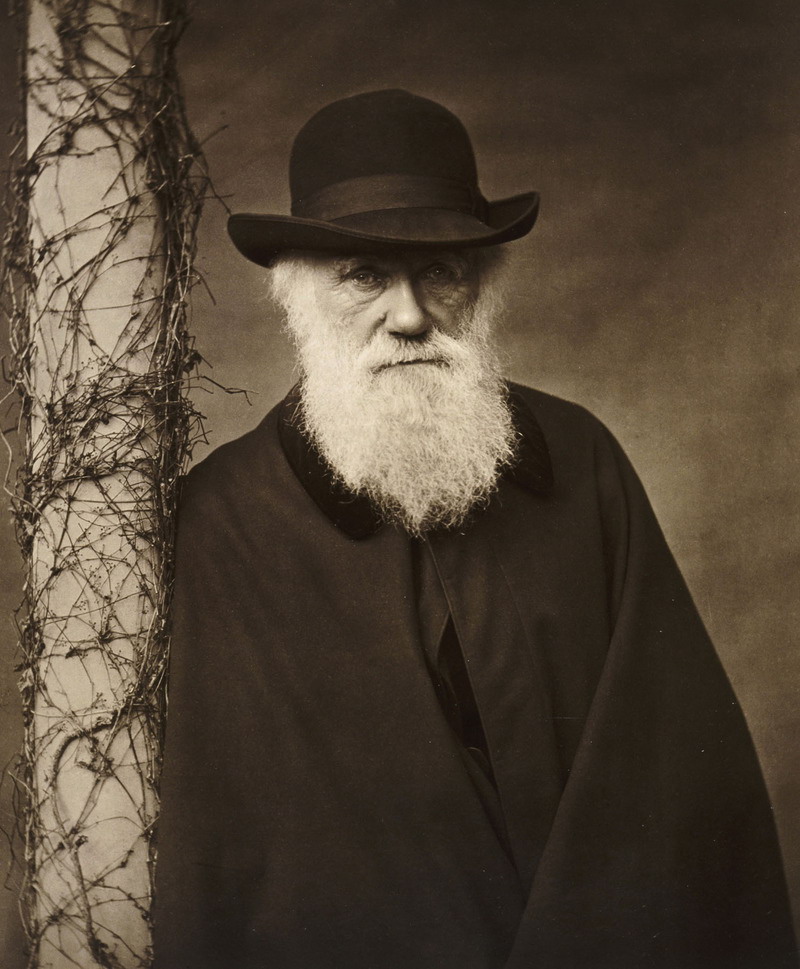 Реферат: Charles Robert Darwin