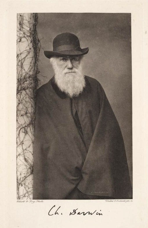 Чарльз Роберт Дарвин (англ. Charles Robert Darwin)