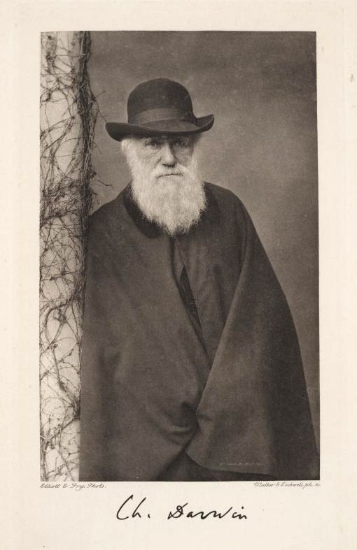 Реферат: Charles Robert Darwin