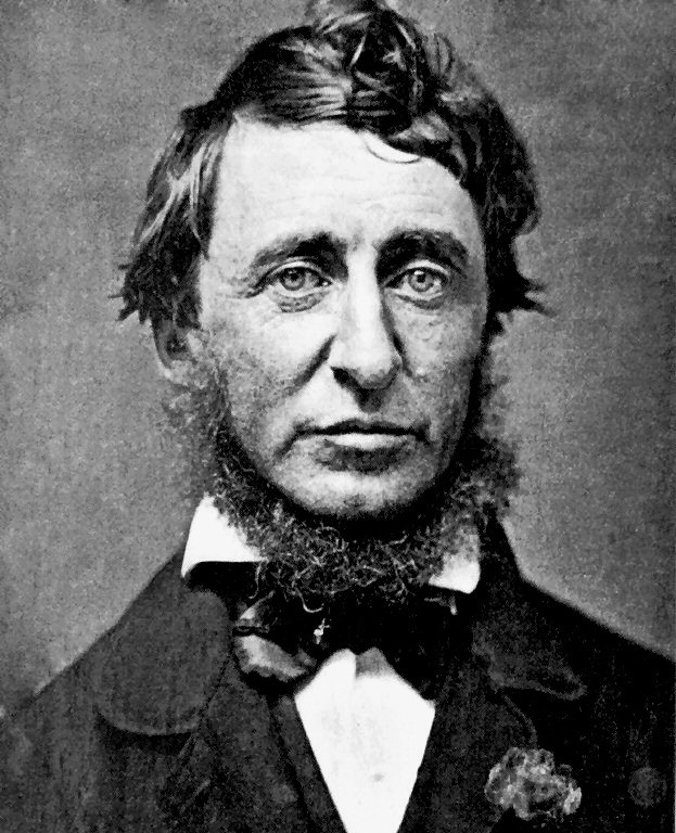    (. Henry David Thoreau)