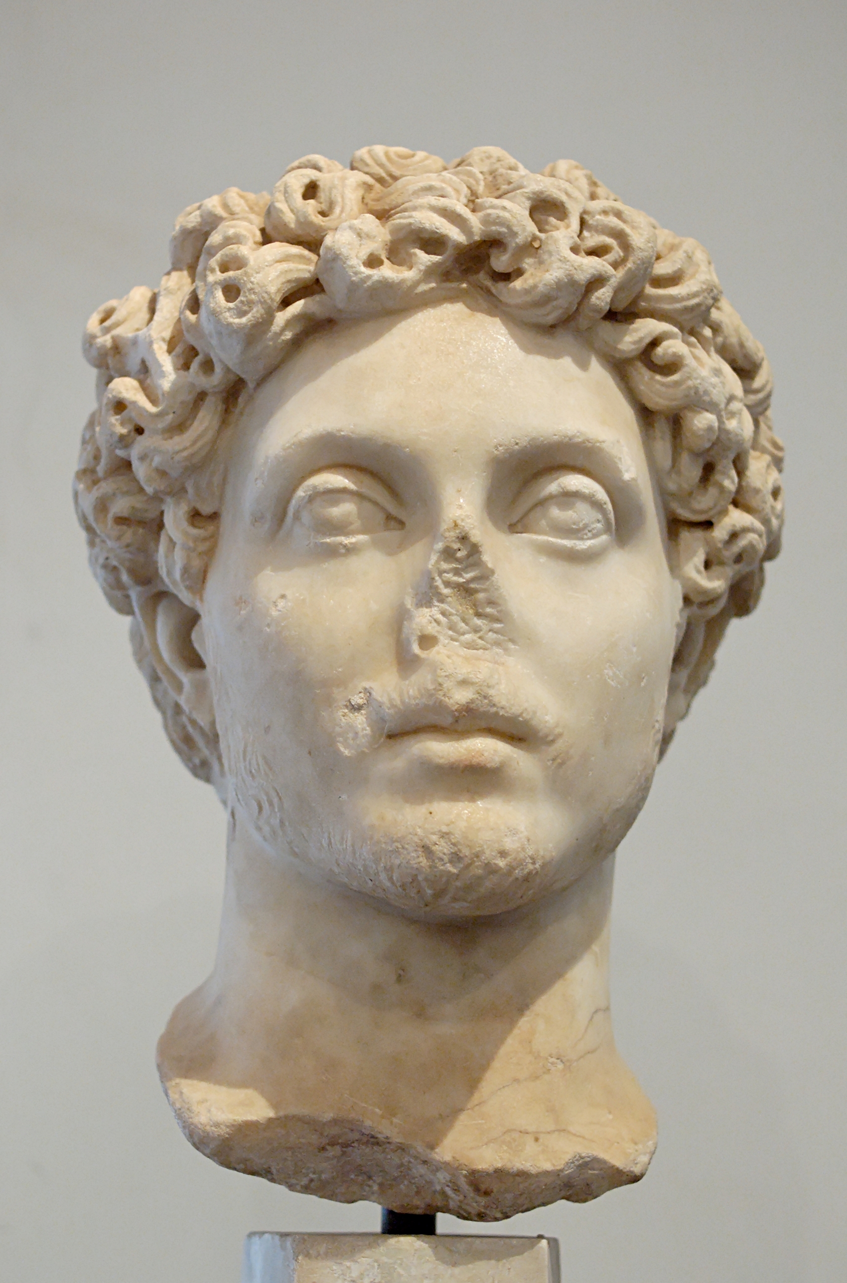    (. Marcus Aurelius Antoninus)