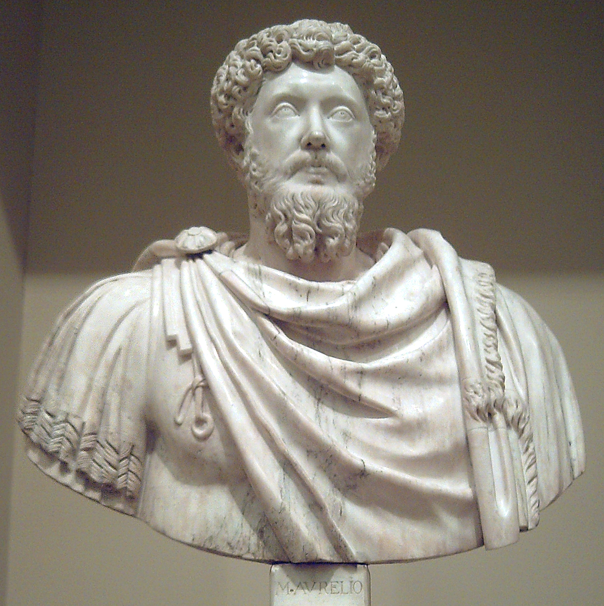    (. Marcus Aurelius Antoninus)