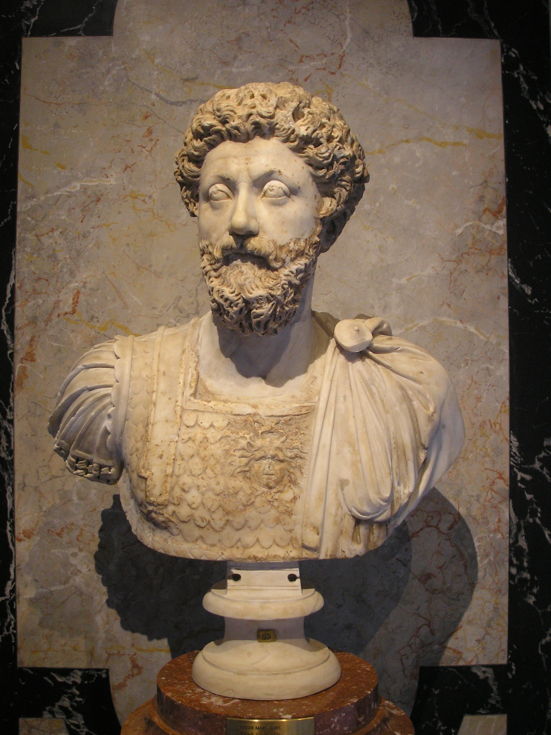    (. Marcus Aurelius Antoninus)