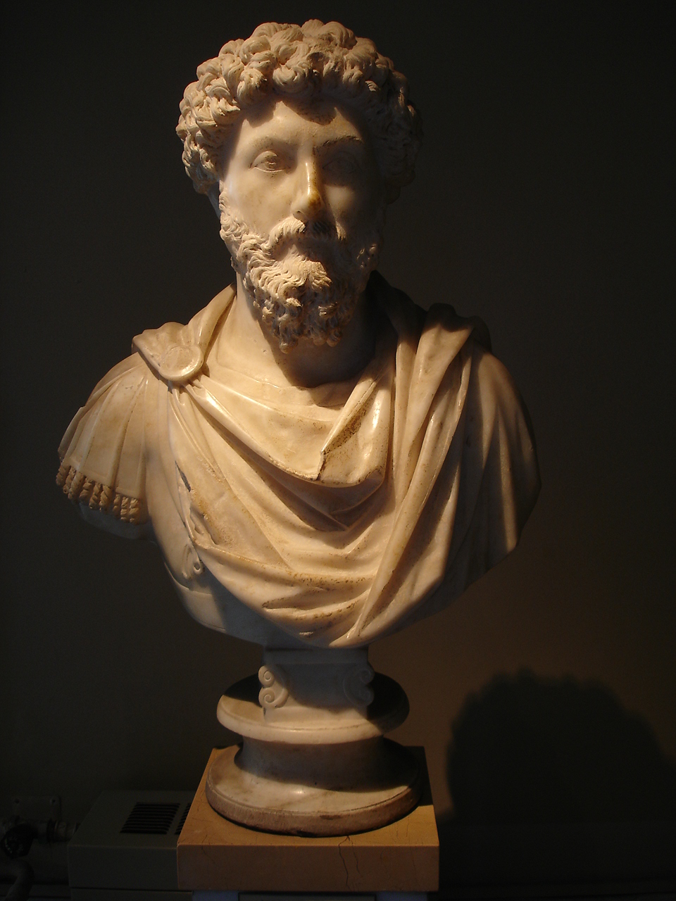    (. Marcus Aurelius Antoninus)