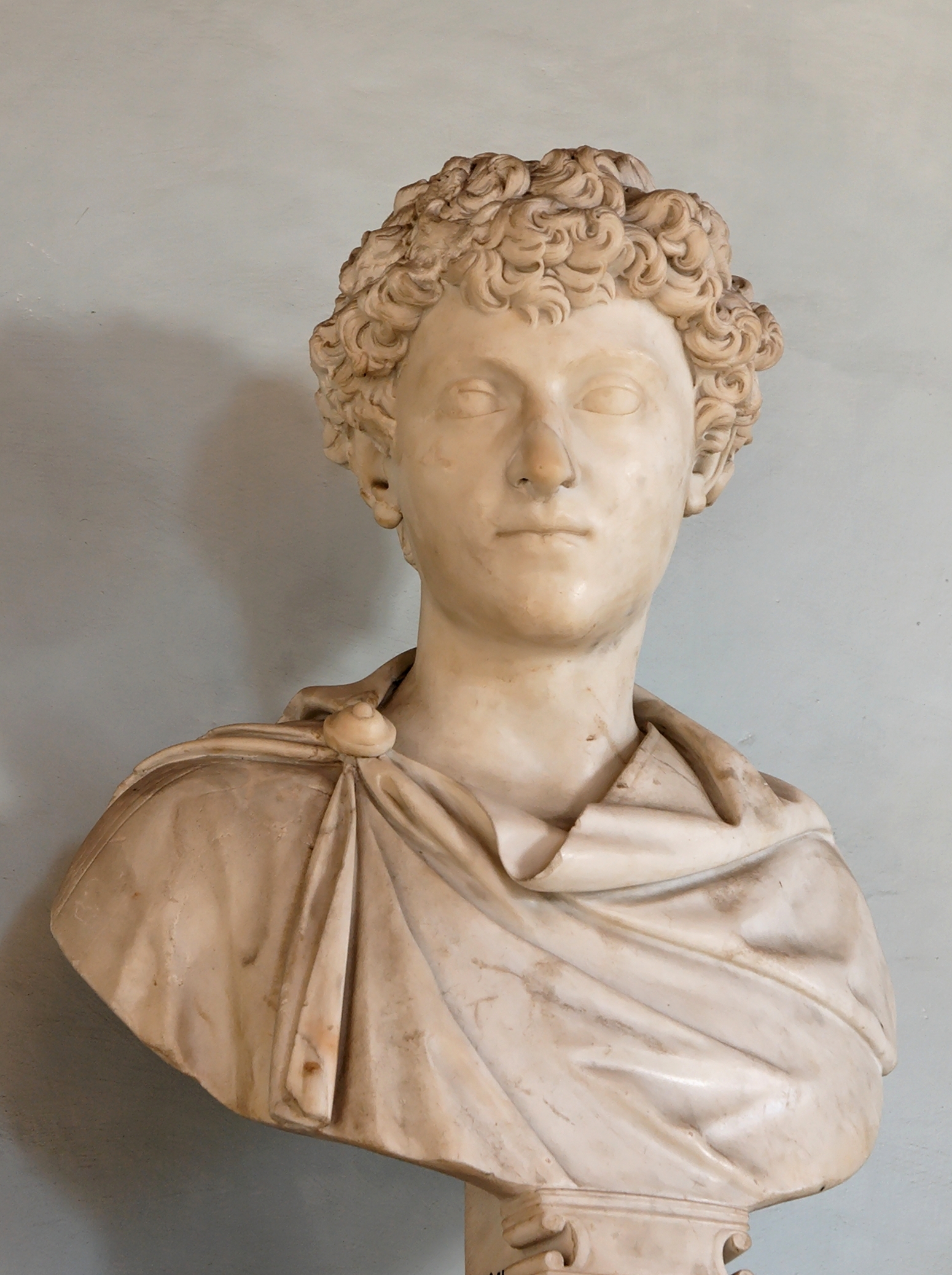    (. Marcus Aurelius Antoninus)