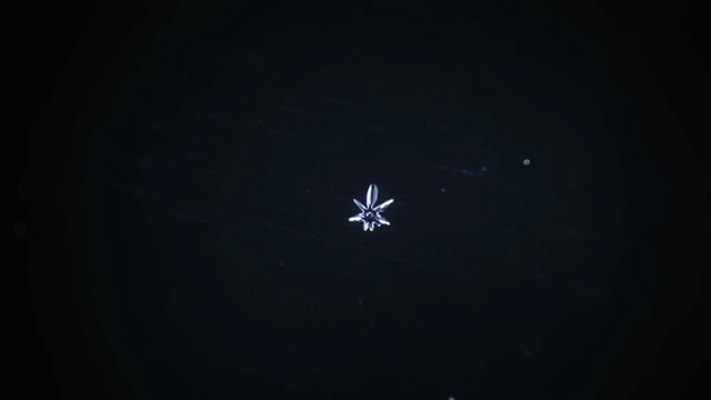 Формирование снежинок: покадровое видео от Вячеслава Иванова